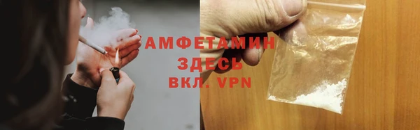 сатива Каменногорск