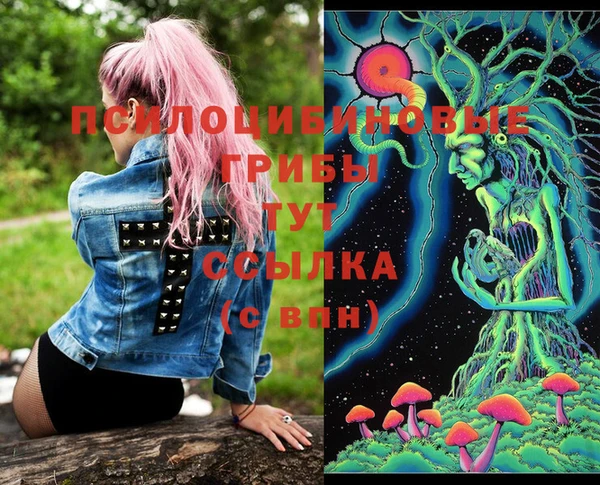 MDMA Premium VHQ Карталы