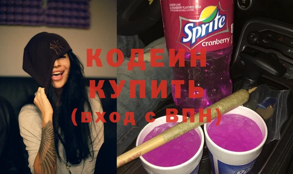 мдпв Каменка